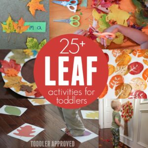 25+ Leaf Activities for Toddlers