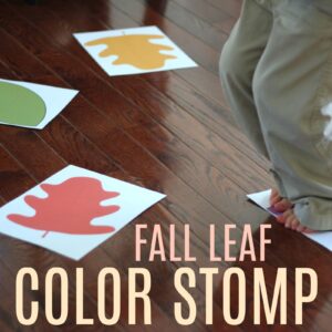 Fall Leaf Color Stomp for Toddlers