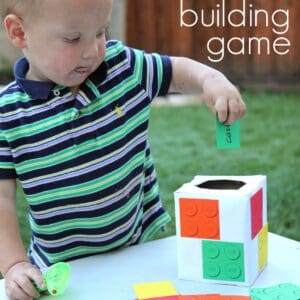 LEGO Pick & Move Building Game