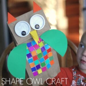 Colorful Shape Owl Craft for Kids