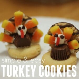 Super Simple Turkey Cookies for Kids