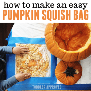 Pumpkin Squish Bag for Toddlers