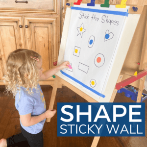 Shape Sorting Activity for Preschoolers